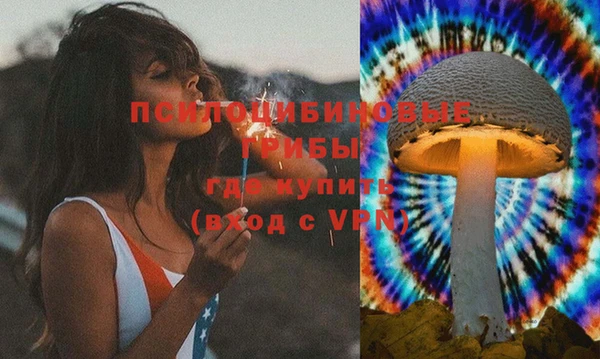 дмт Арсеньев